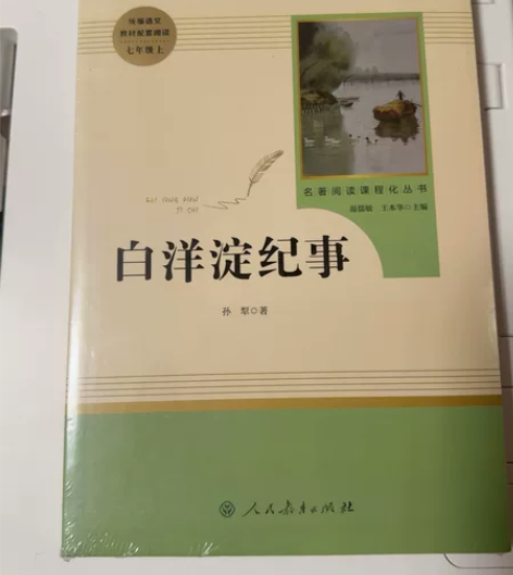 全新未拆封 白洋淀纪事 名著阅读课程化丛书...