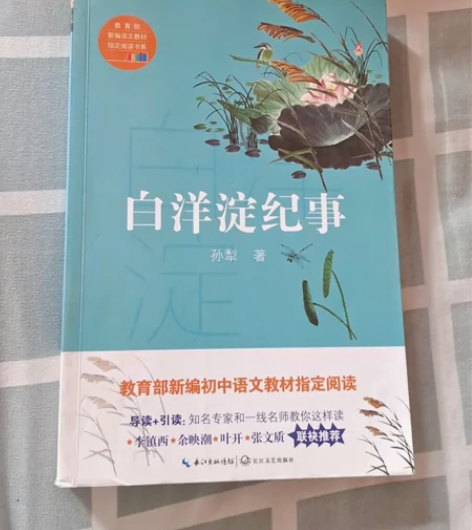 白洋淀纪事 感兴趣的话点“我想要”和我私聊...