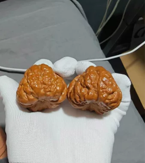 肚48边46肌肉蛙 克重51到52 不议价...