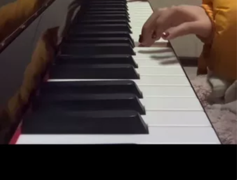 钢琴教学，零基础 成人儿童都可教学，来我家...