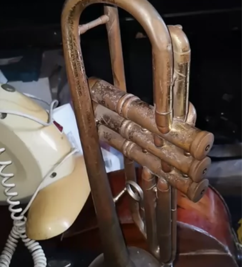 鸚鹉天津原装小号掉色了年代久远正品演奏正常...