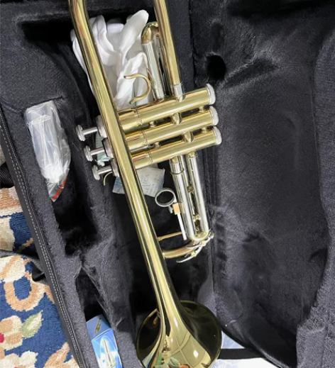 小号(新) 感兴趣的话点“我想要”和我私聊...