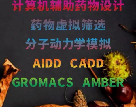 AIDD人工智能药物发现与设计+CADD计...