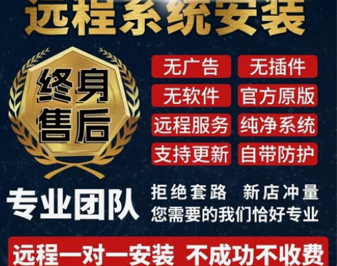 重装系统、维修电脑、在线系统重装纯净版、重...