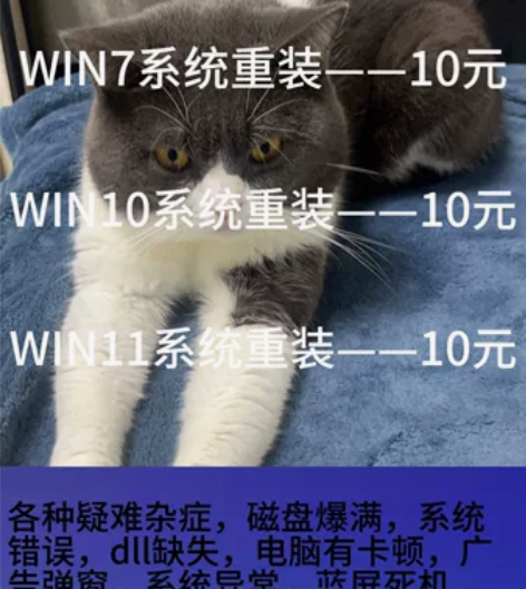 重装系统，价格优惠 重装系统、维修电脑、在...