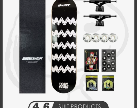 DBH滑板初学者青少年成人专业动作刷街双翘...