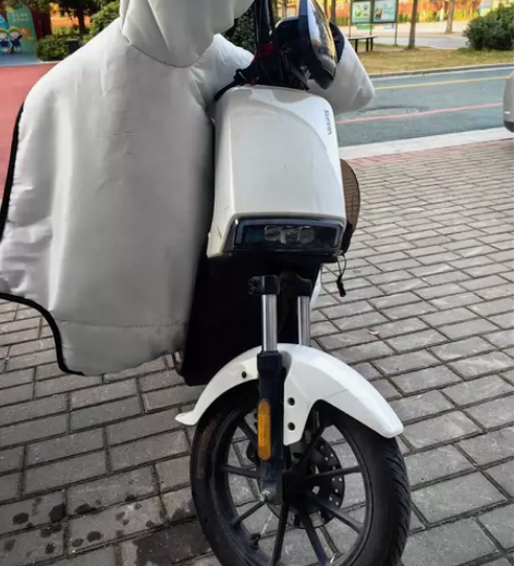 出自用电动车一辆 品牌:新日 使用:快两年...