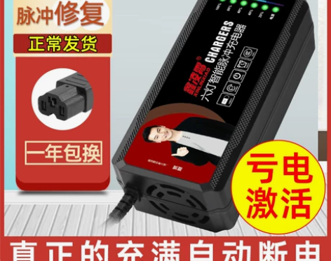 【狂欢价】电动车电瓶充电器48V12AH2...