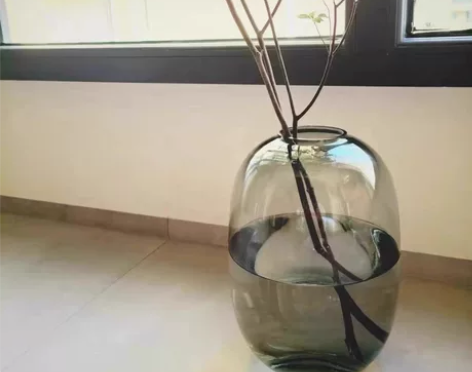 【低价处理】花店不开了，剩5个大肚玻璃花瓶...