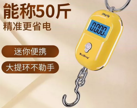 威衡25公斤迷你手提秤 0~10公斤精度5...
