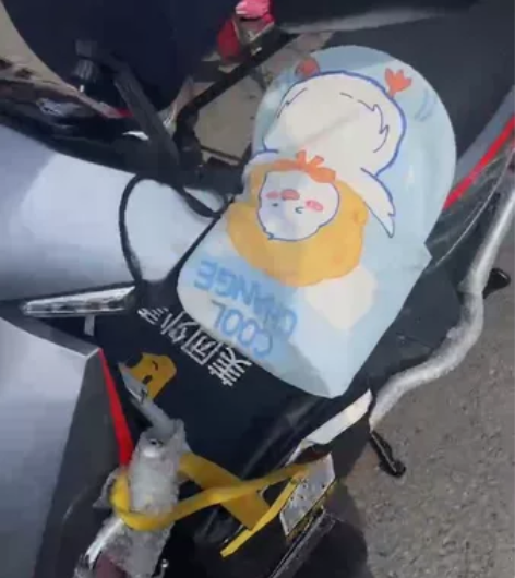 台铃追风侠外卖神车极速75km前后联动叠刹...