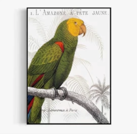 长45厘米；宽35厘米；35元一副。 感兴...