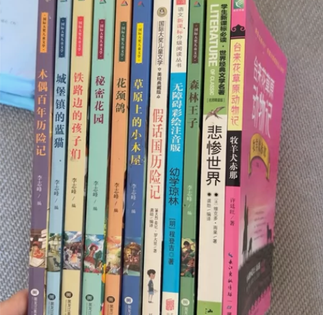 悲惨世界(名师精读版)/学生新课标必读世界...