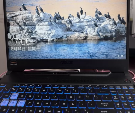 #Asus/华硕 飞行堡垒游戏本 感兴趣的...