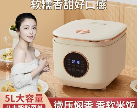110v伏智能电饭煲小家电预约出口日本电饭...