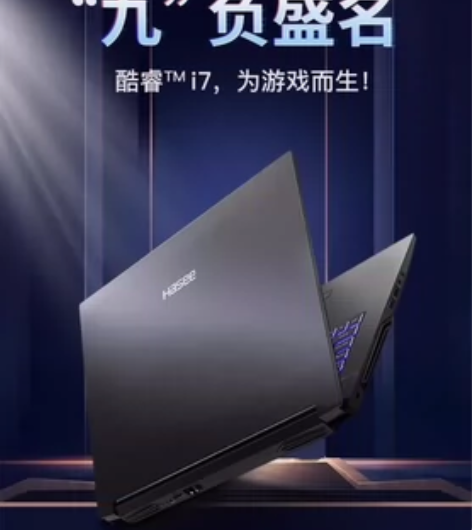 自用神舟笔记本G8-CT7NK,目前集显不...