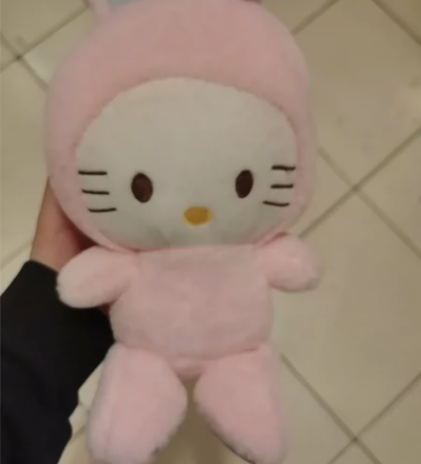 游乐场抓的小号公仔,30cm高几乎全新的,...