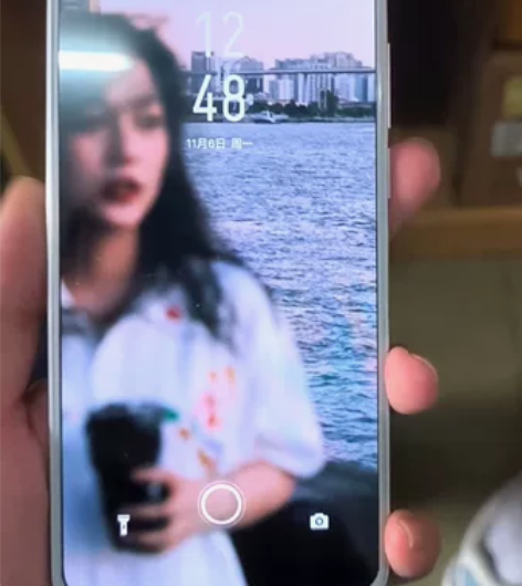 魅族17 8+256 骁龙865处理器，256g内存可做主力...