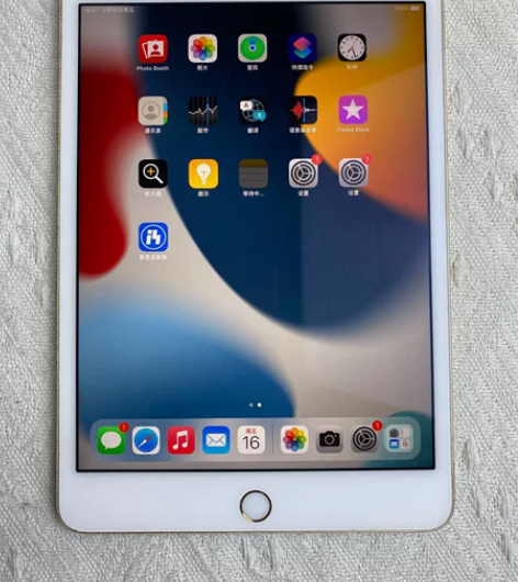 iPad mini4 16G 可孩子上网课...
