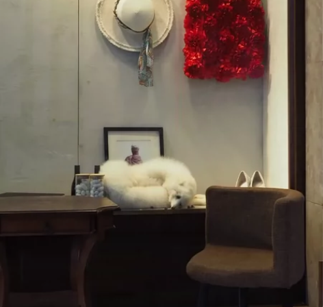 新手摄影师，缺模特练手，相机奥林巴斯，图片...