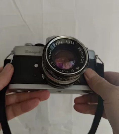 两个旧135单反照相机，一个是海鸥，一个是...