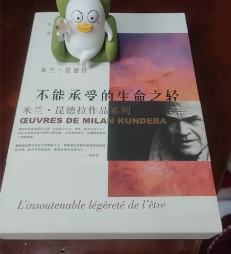 刘小鸭公仔。米兰昆德拉，不能承受的生命之轻...