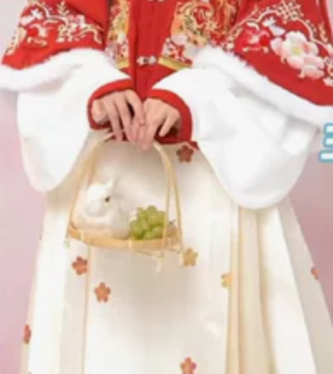 玉术【虎戏金鳞】汉服女 明制 马面裙 方领...