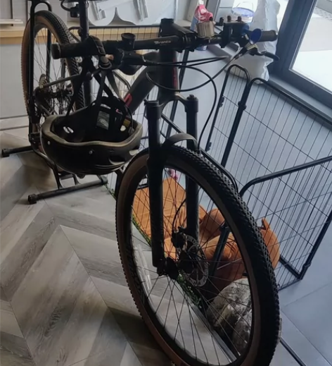喜德盛自行车，轮胎尺寸:29寸 3089入...