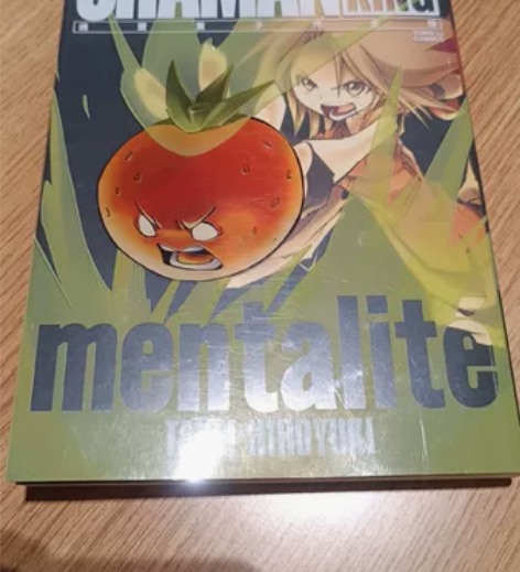 通灵王完全版公式书，也是第28卷，有微瑕疵...