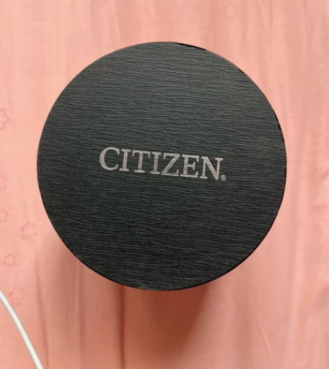 西铁城男士手表，邮轮免税店购买，可拿去验真...