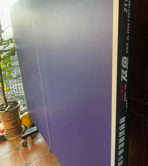 双鱼211A乒乓球桌，可折叠可移动，高弹面...