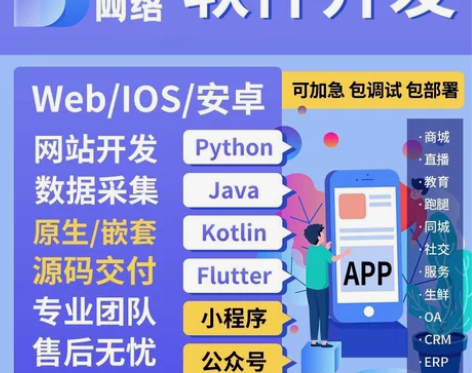 软件开发,软件工程,协议,破解,开发, 感...