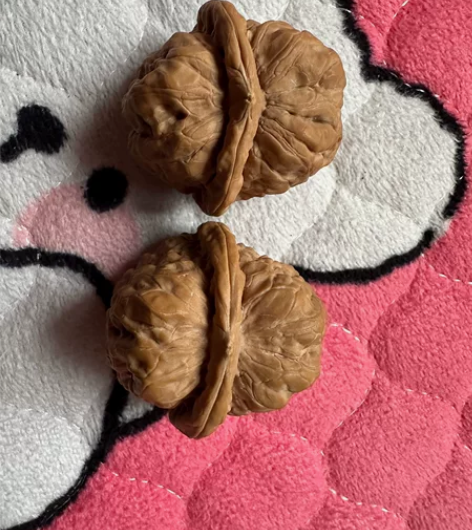 4.0边4.0度肥蛙 便宜出了 感兴趣的话...