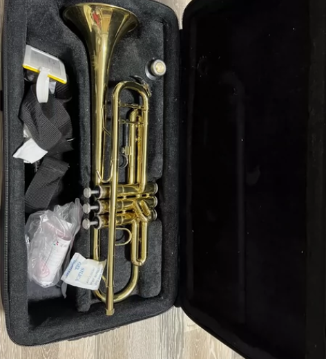 适合初学者的小号，购入一年左右，家里更换新...