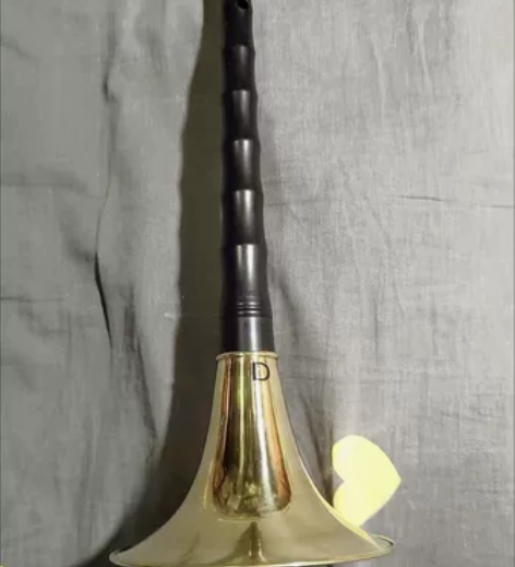 D调唢呐树脂高硬度乌木，店里200多买的，...