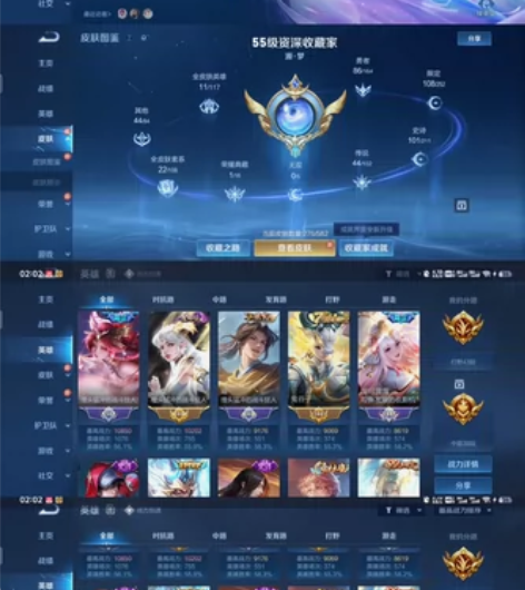 【编号237】【王者荣耀】＋【和平精英】 ...