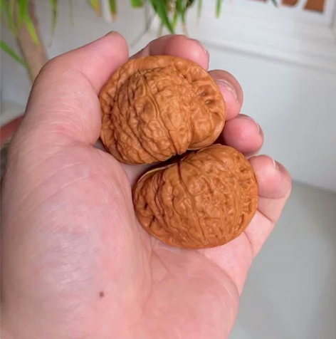 【南瓜墩狮子头】全品无修南谷底座蛇皮纹黄金...