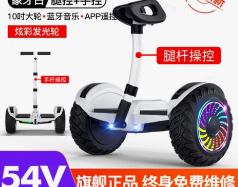 出售领奥牌的54V平衡车一台，刚新换的电池...