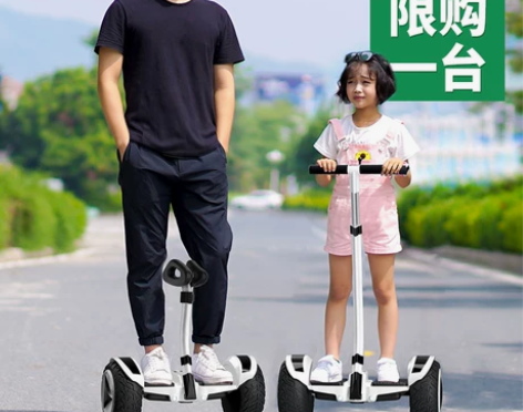 领奥旗舰店新款电动平衡车腿控成年双轮智能儿...