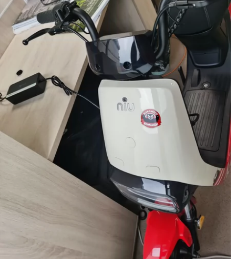 全新！全新！！全新！！！小牛电动车，熊本熊...