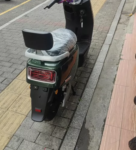 新国标电动车,可以上白牌,深圳东莞包邮,旧...