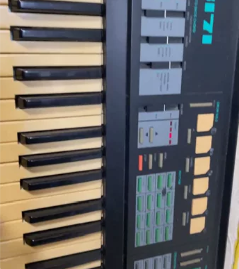 西湖 电子琴 hdb-6171 个人闲置物...