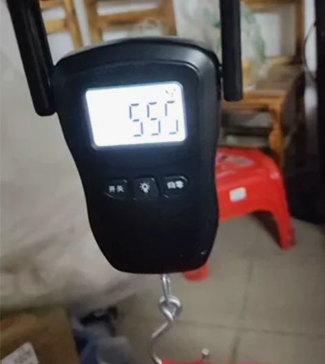 【清仓】福日牌手提秤 顺丰手提电子秤便携式...