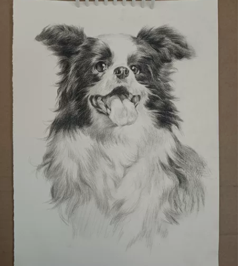 素描人头像静物作品 现画临摹也可以 ...
