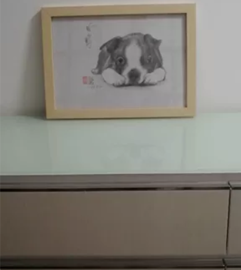手绘铅笔素描画作品（宠物狗）希望转让给有缘...
