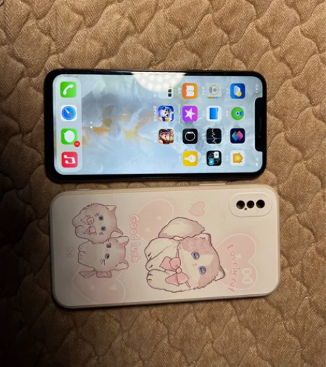 苹果x 国行 内存256 功能全部正常 一...