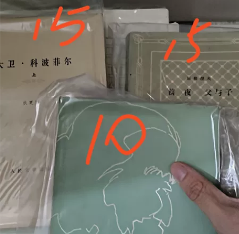老书，父与子，泰戈尔诗选，大卫科波菲尔 感...