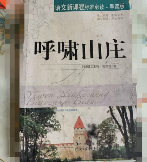 出《呼啸山庄》,出闲置付邮送,直接拍就行。...