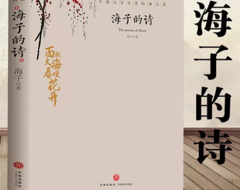 【大本加厚】海子的诗 中国文学经典面朝大海...