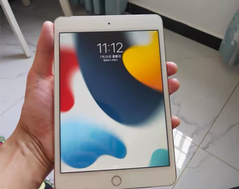 （闲置）标价就是实价，ipadmini4 ...